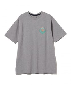 patagonia（パタゴニア）のメンズのTシャツ通販｜BEAMS