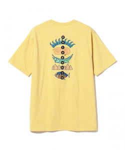 Patagonia /  Fitz Roy Wild Responsibili Tee