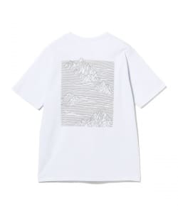 patagonia / StrataSpire Responsibility T-Shirt