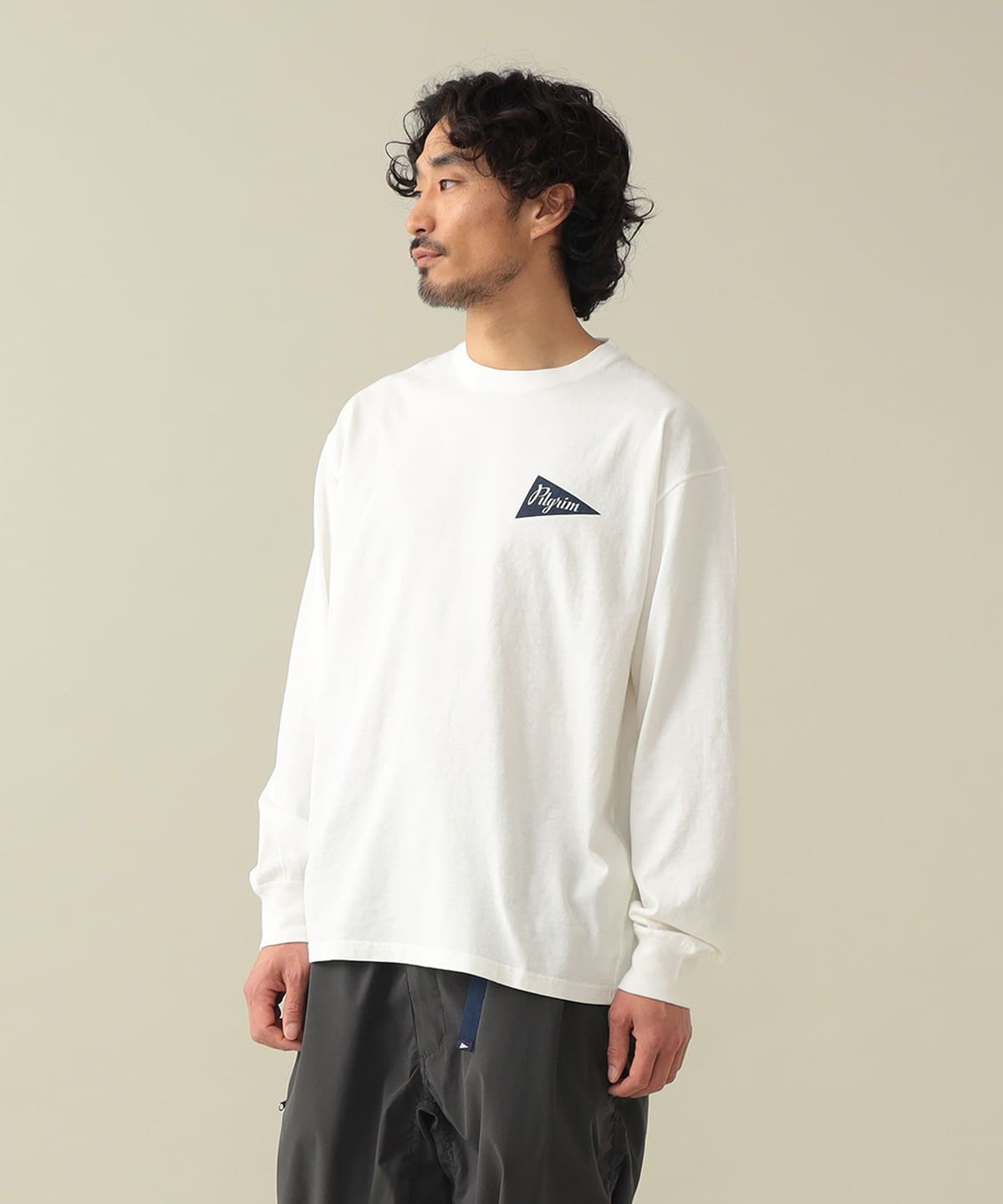 Pilgrim Surf+Supply（ピルグリム サーフ+サプライ）Zambia Pennant