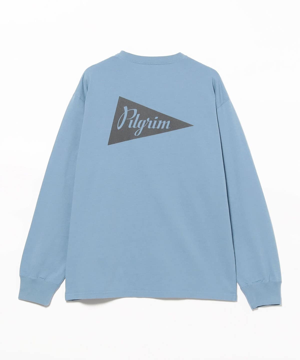 Pilgrim Surf+Supply（ピルグリム サーフ+サプライ）Zambia Pennant