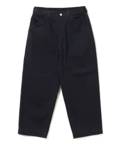 Pilgrim Surf+Supply / Noland Cotton Painter Pant