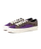Archive BROWN/PURPLE