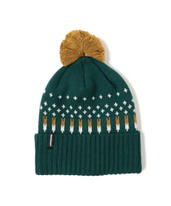 patagonia / PowderTown Beanie