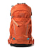 Koi Orange / Blue Venture