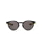 BK-LY-PL-BK PL (polarized light)