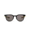 BK-LY-PL-BK PL (polarized light)