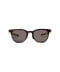 DM-LY-PL-BK PL (polarized light)