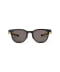 MBK-LY-PL-BK PL (polarized light)