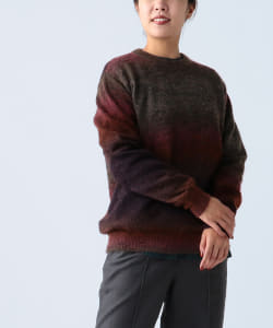 Pilgrim Surf+Supply / Roth Gradient Crew
