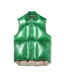 Mt. Down Vest