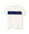 WHT*NAVY LINE