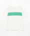 WHT*LIGHT GREEN LINE