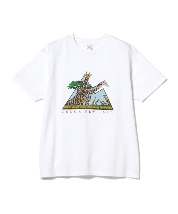 BEAMS PLUS（ビームス プラス）【別注】SCREEN STARS / Print T-shirts