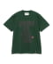 Moss Green