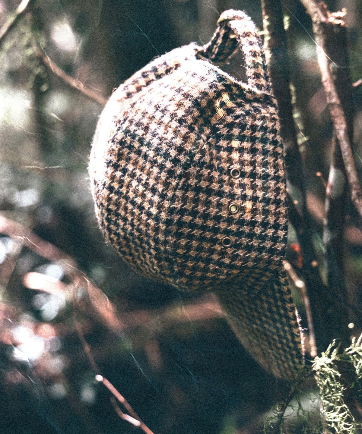 38410424395_C_1.jpg