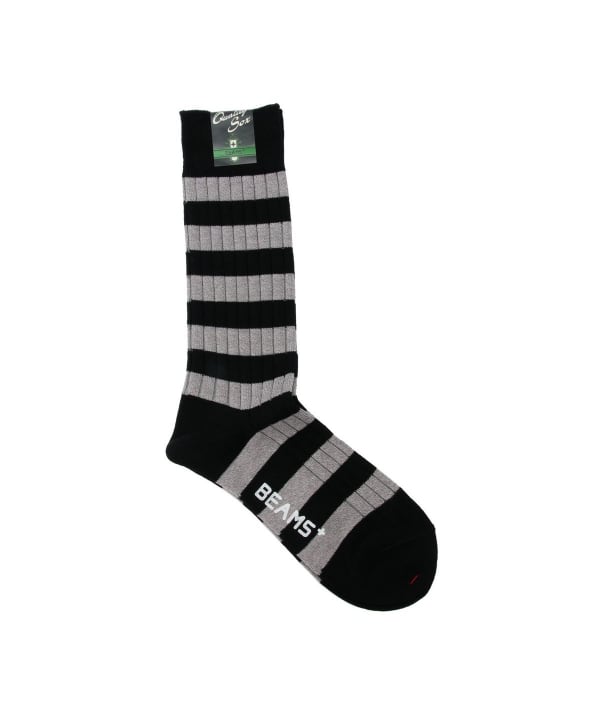 BEAMS PLUS（ビームス プラス）BEAMS PLUS / Rib Stripe Socks（レッグ