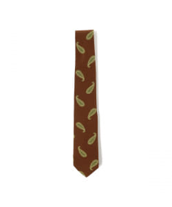 Silk Tie Paisley Print