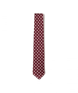 Silk Tie Dot Print