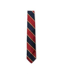 Ivy Tie Regency Stripe