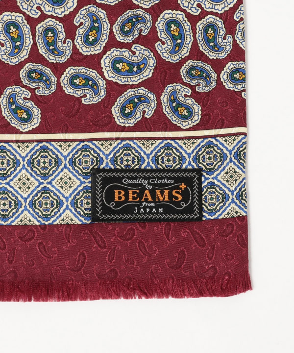 Silk Stole Paisley Print