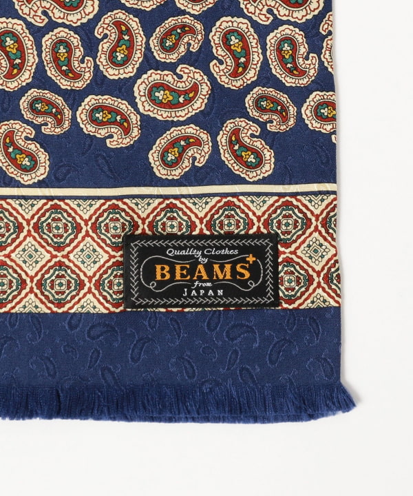 Silk Stole Paisley Print