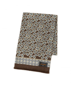 Silk Stole Paisley Print