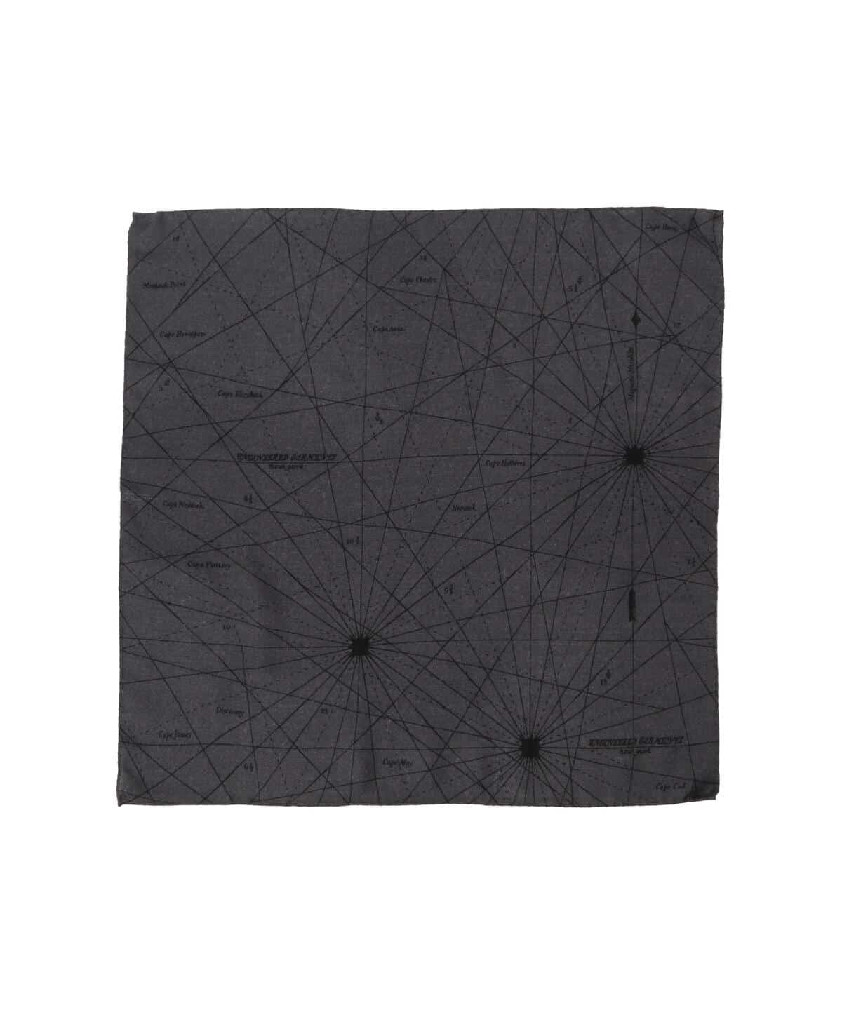 □170 X線写真 アートフレーム（宣伝用）