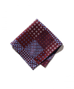 Pocket Chief Paisley*Geometric Print