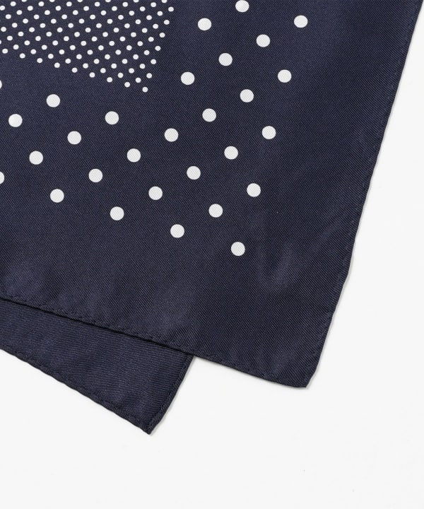 POST OVERALLS / #4006-SN 1993 pocket square