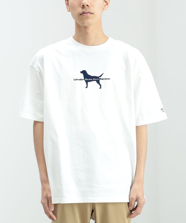 BEAMS HEART（ビームス ハート）【EXCLUSIVE】Labrador Retriever / シルエット Tシャツ（Tシャツ・カットソー  プリントTシャツ）通販｜BEAMS