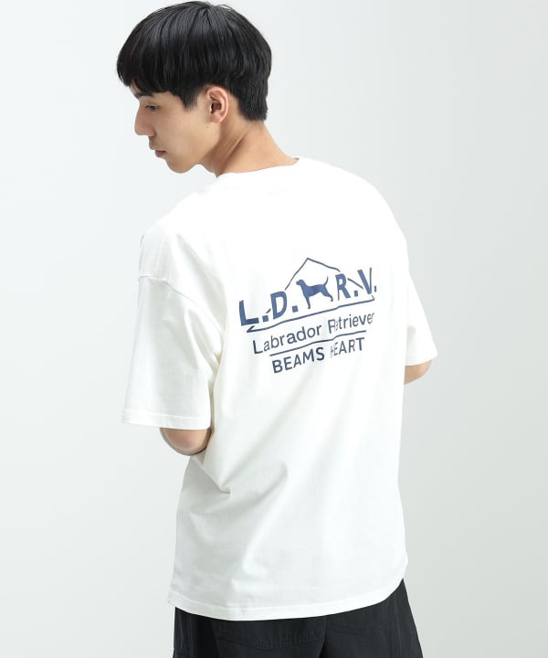 BEAMS HEART（ビームス ハート）【EXCLUSIVE】Labrador Retriever / アーカイブ プリント Tシャツ（Tシャツ・カットソー  プリントTシャツ）通販｜BEAMS