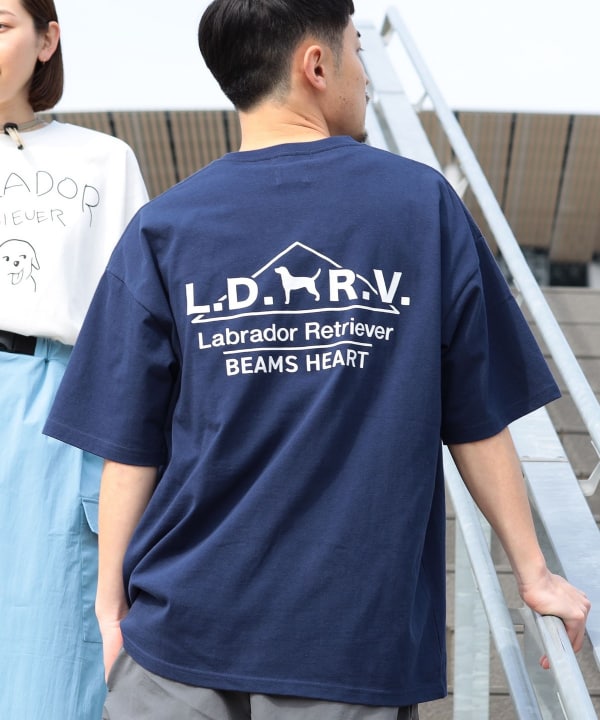 BEAMS HEART（ビームス ハート）【EXCLUSIVE】Labrador Retriever  