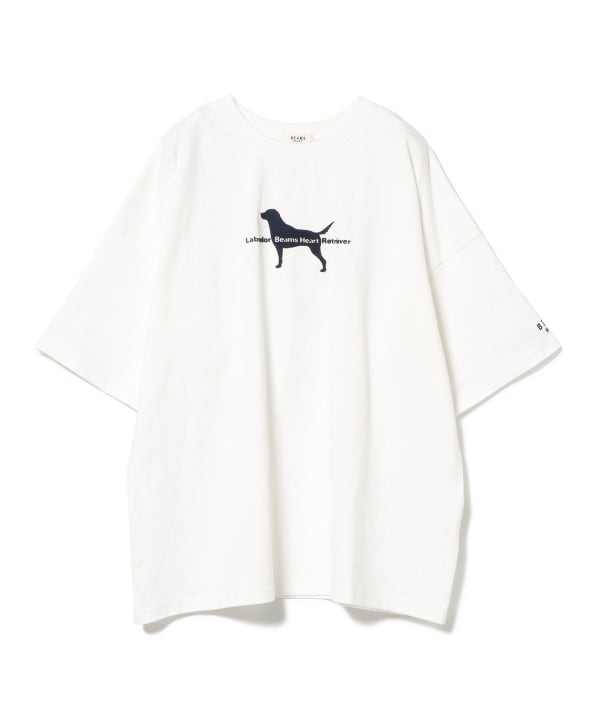 BEAMS HEART（ビームス ハート）【EXCLUSIVE】Labrador Retriever / フロッキープリント ドッグ Tシャツ（Tシャツ・カットソー  プリントTシャツ）通販｜BEAMS