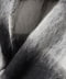 CHARCOAL