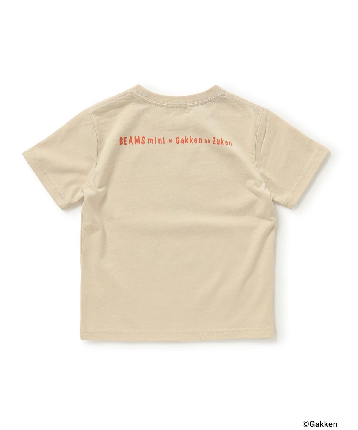 BEAMS mini BEAMS mini繪本 LIVE / 人體 T 卹 (100-150cm) (T 卹