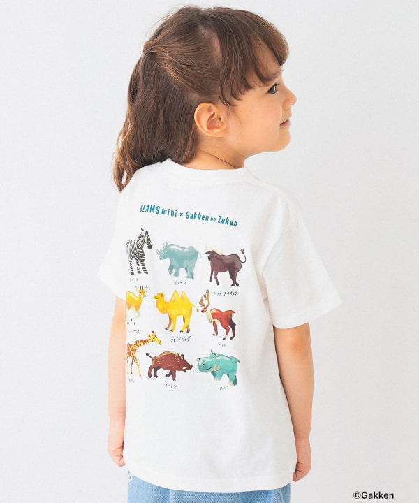 フレームワーク tHISisNOT ANIMALS Tシャツ ブラウン BEAMS mini（ビームス ミニ）【別注】学研の図鑑LIVE / 動物 T