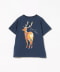 Ezo deer