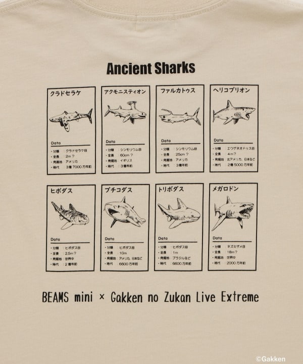 【LABOR款】学研图解百科全书 LIVE Extreme / T恤（90-140cm）