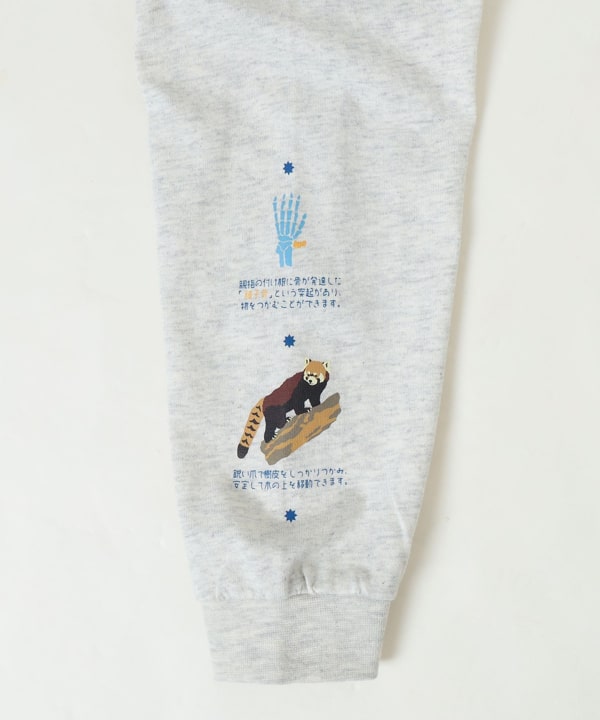 【COLLABORATION】那須どうぶつ王国・神戸どうぶつ王国 / 博士 ロングスリーブ Tシャツ 2026FW（100～140cm）