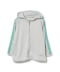 ICE GREY