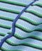 BLUE BORDER