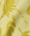 Monstera