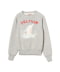 Gray Dolphin 208