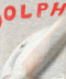 Gray Dolphin 208