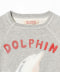 Gray Dolphin 208