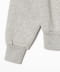 Gray Dolphin 208