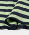 Avocado(Green)