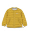 MUSTARD
