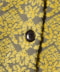 grey*yellow